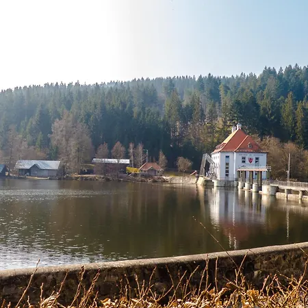Nr 13a2, Hagbuegerl, Bayr Wald *