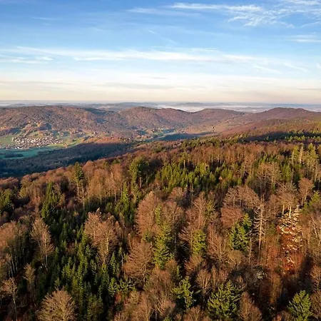 Nr 13a2, Hagbuegerl, Bayr Wald Waldmuenchen